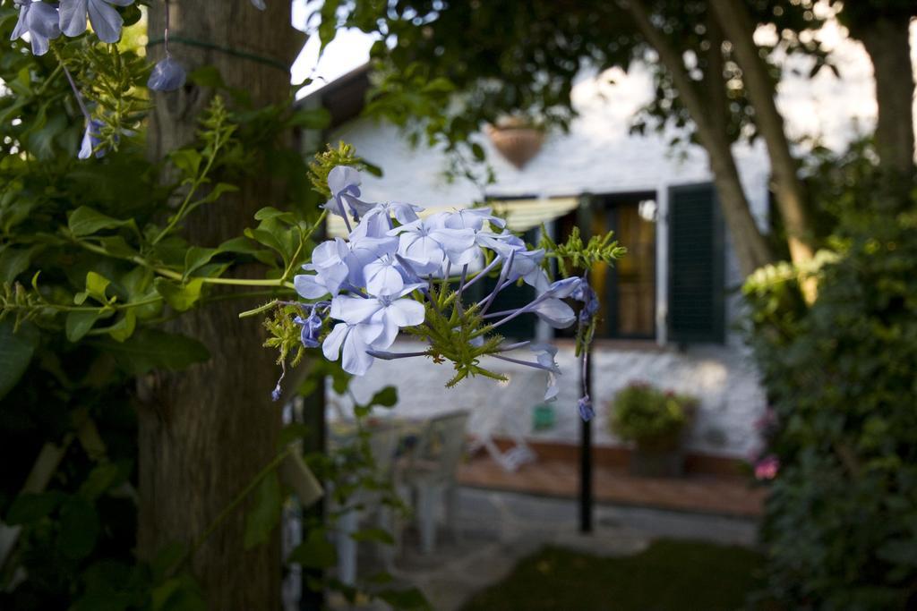 Case Vacanza La Ventura Massarosa Εξωτερικό φωτογραφία
